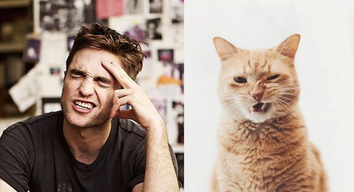 38 - Hot Guys and Cats Striking