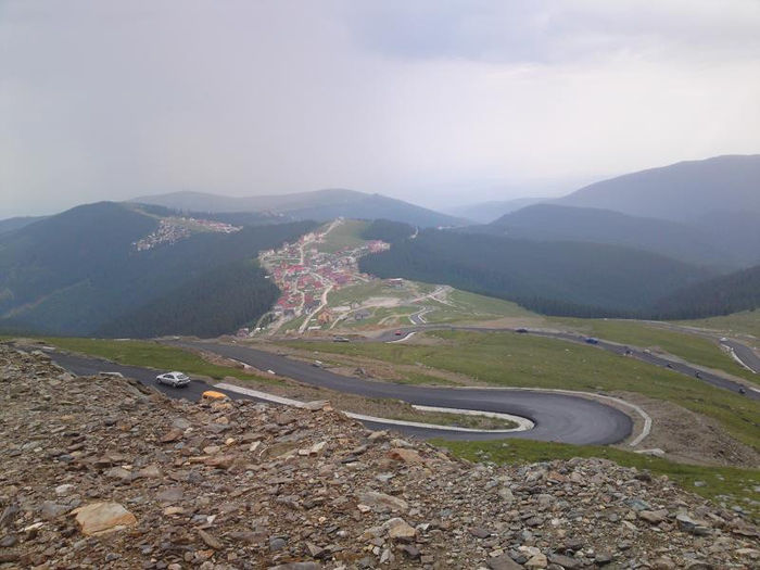  - D2 CAINI CIOBANESTI DIN ALTE ZONE