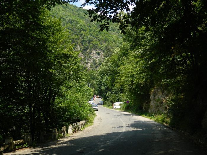 DSCN7488