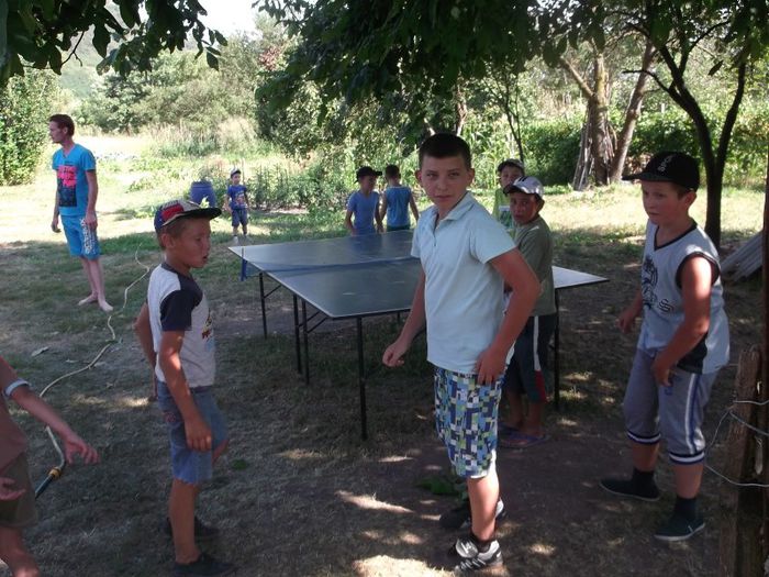 SE  "LUCREAZA " PE SECTIUNI - NEPOTII IN TIMPUL LIBER