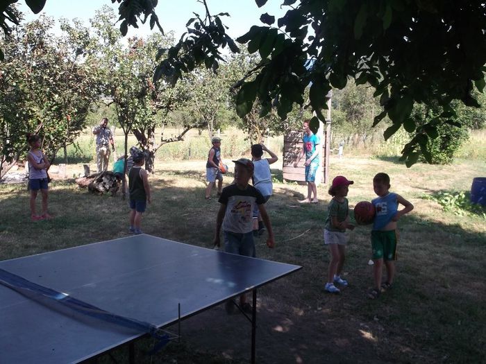 Picture 672 - NEPOTII IN TIMPUL LIBER