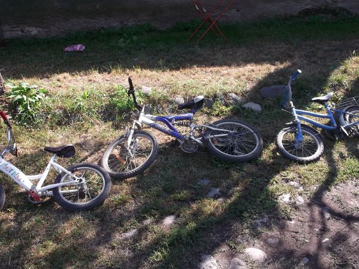 Picture 677 - NEPOTII IN TIMPUL LIBER