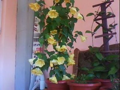DSC00456 - Poze