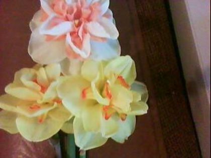 DSC00457 - Poze