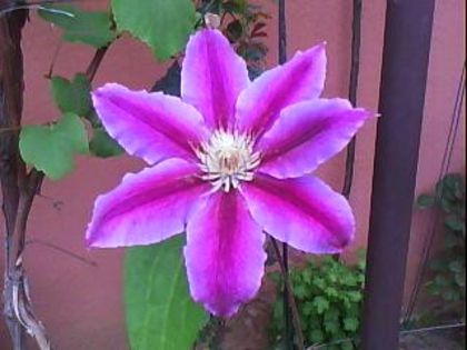 DSC00492 - Poze