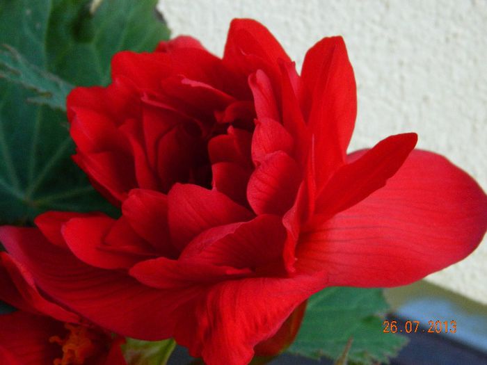 087