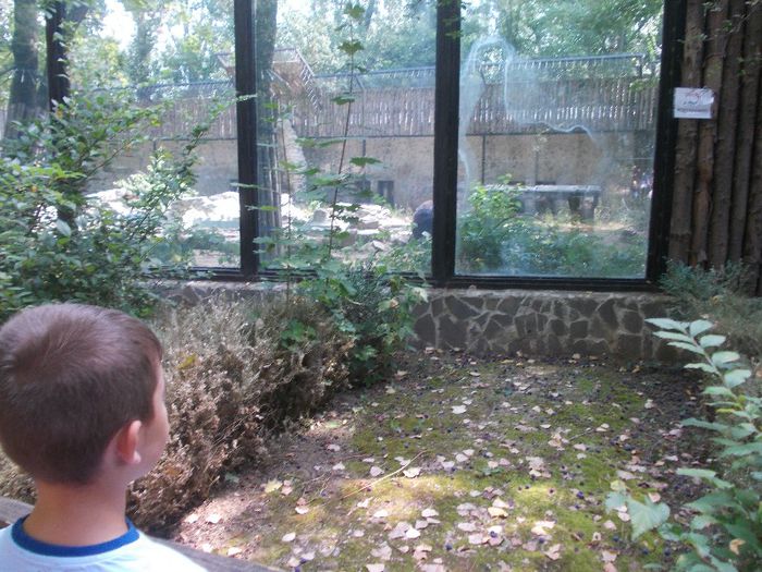 Ziua lui ALEX P. 014