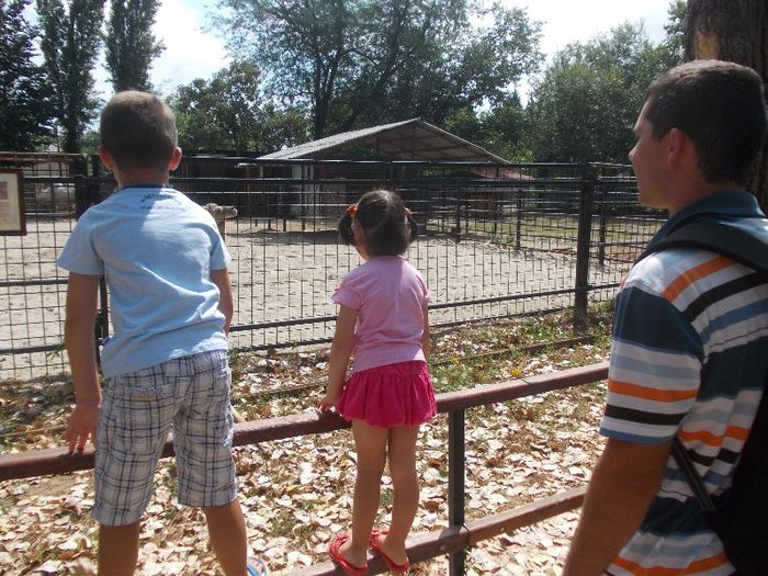 Ziua lui ALEX P. 031