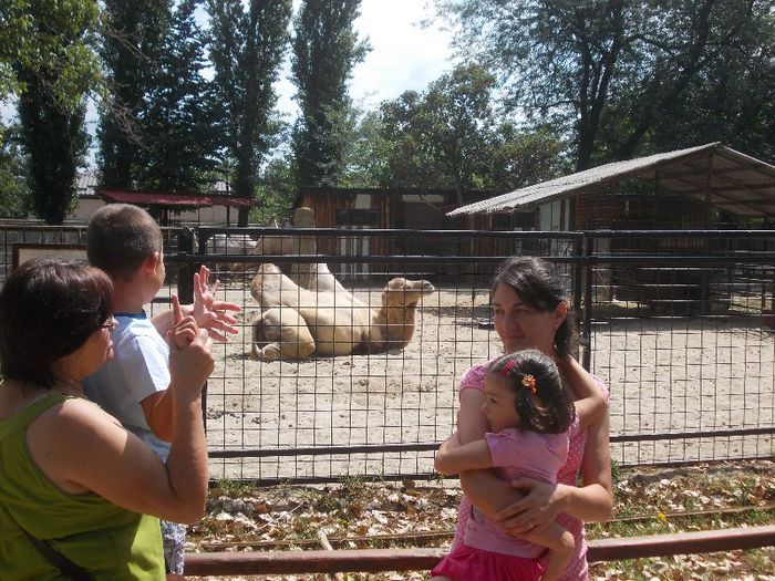 Ziua lui ALEX P. 036 - ziua lui alex la zoo