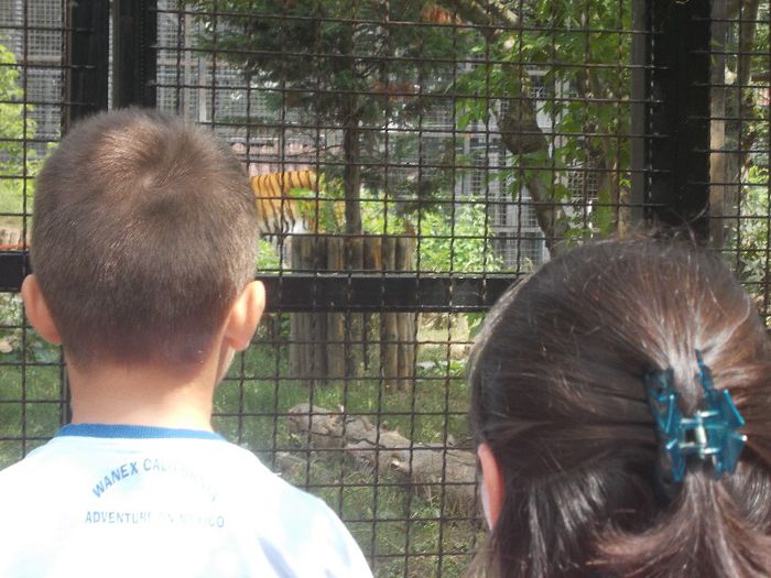 Ziua lui ALEX P. 045