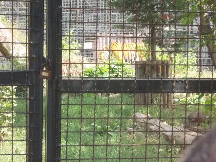 Ziua lui ALEX P. 046