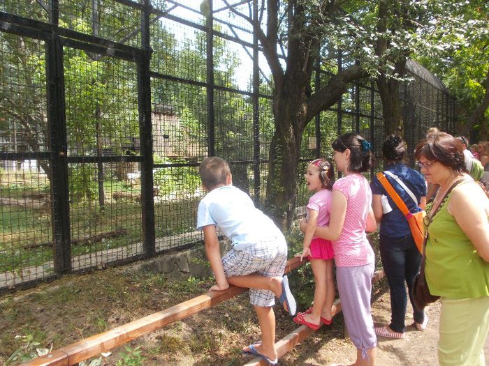 Ziua lui ALEX P. 048