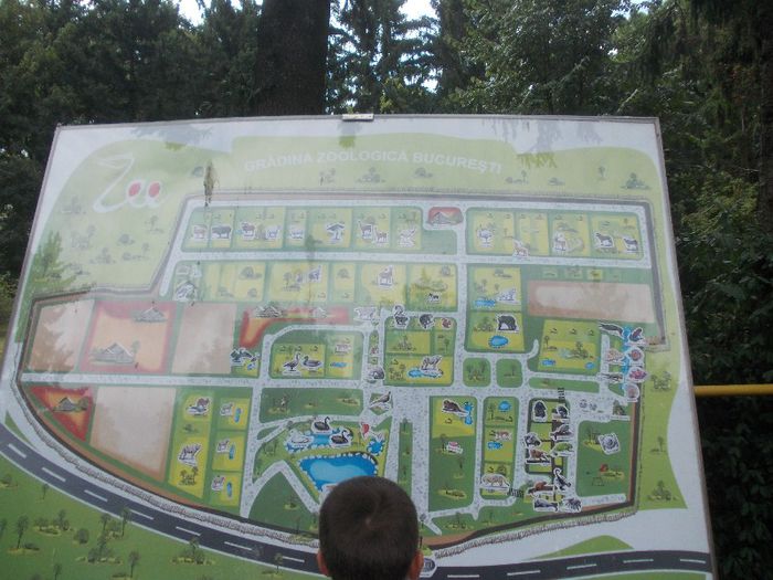 Ziua lui ALEX P. 056