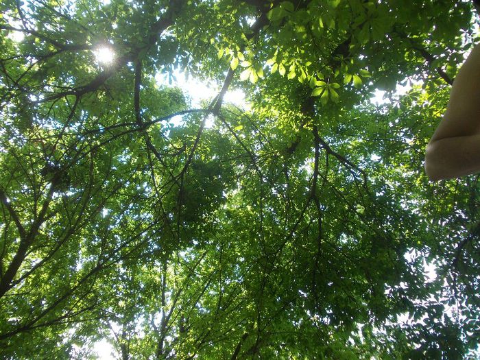 Ziua lui ALEX P. 078