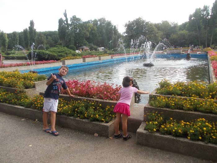 Ziua lui ALEX P. 113