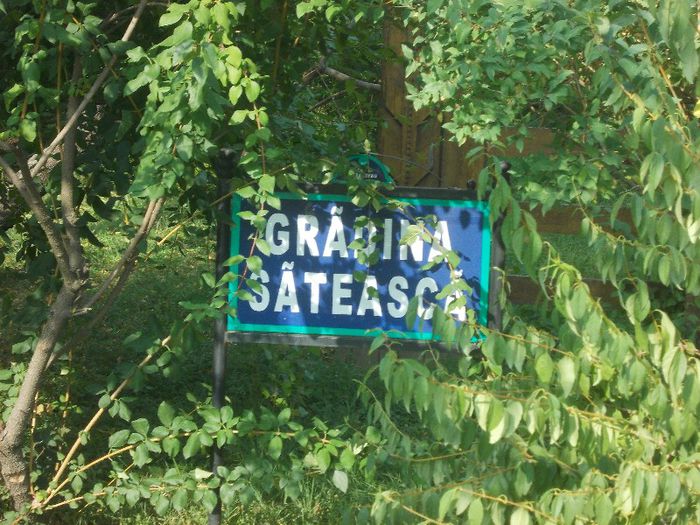 Ziua lui ALEX P. 115 - ziua lui alex la zoo