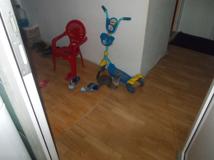 Ziua lui ALEX P. 197