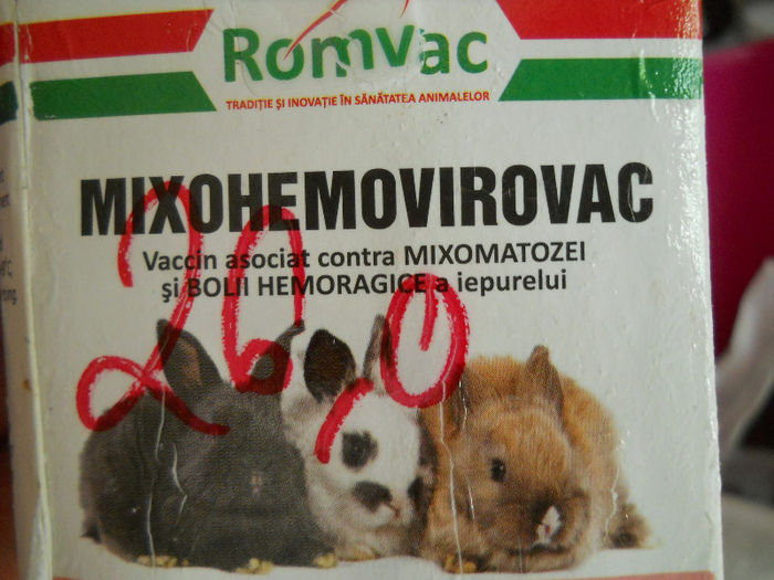 Vaccin Romanesc