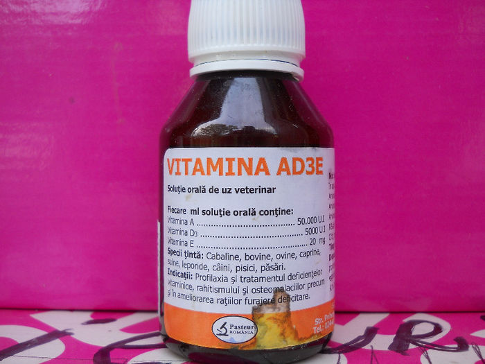 Vitamina AD3E - 4--Medicamente Iepuri