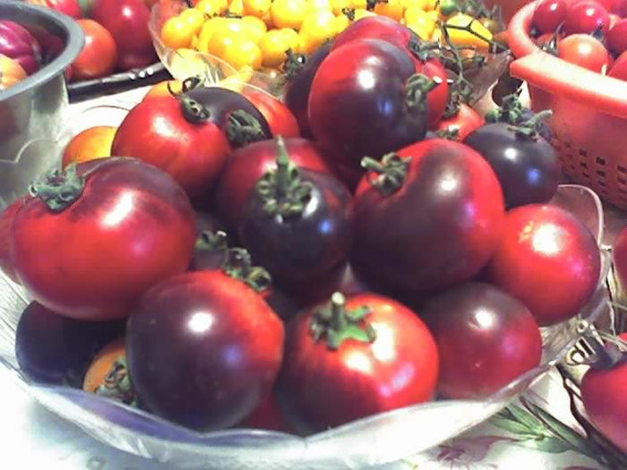 09-08-13_1729 - TOMATE 2013