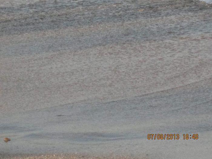 IMG_7234 - Vacanta la mare