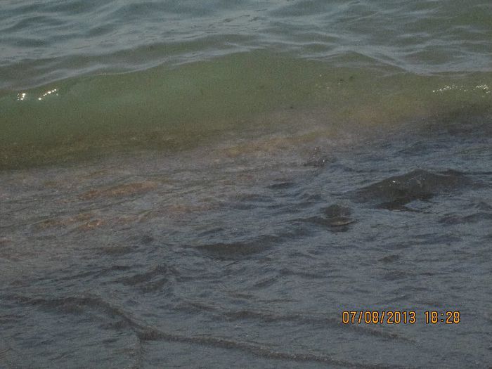 IMG_7198 - Vacanta la mare