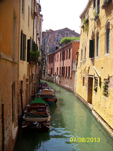 473_0500 - Venetia 2013