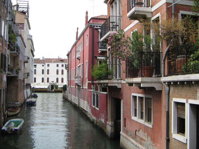 IMG_7415 - Venetia 2013