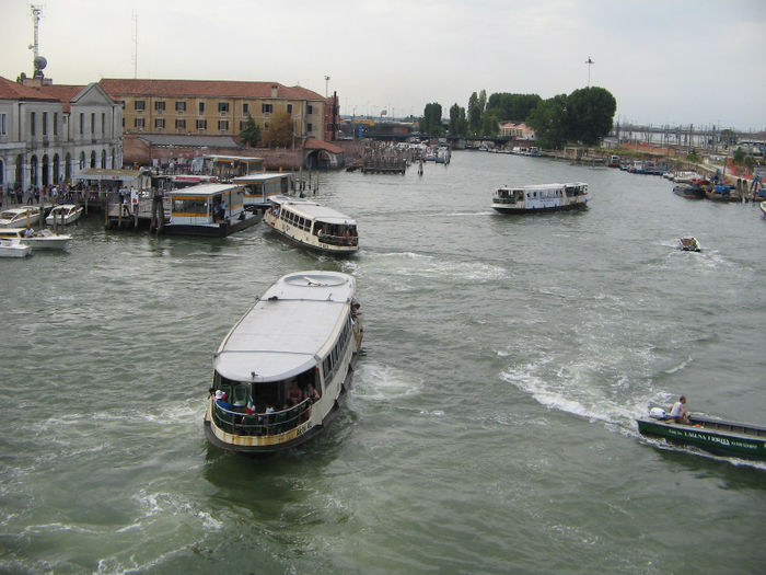 IMG_7424 - Venetia 2013