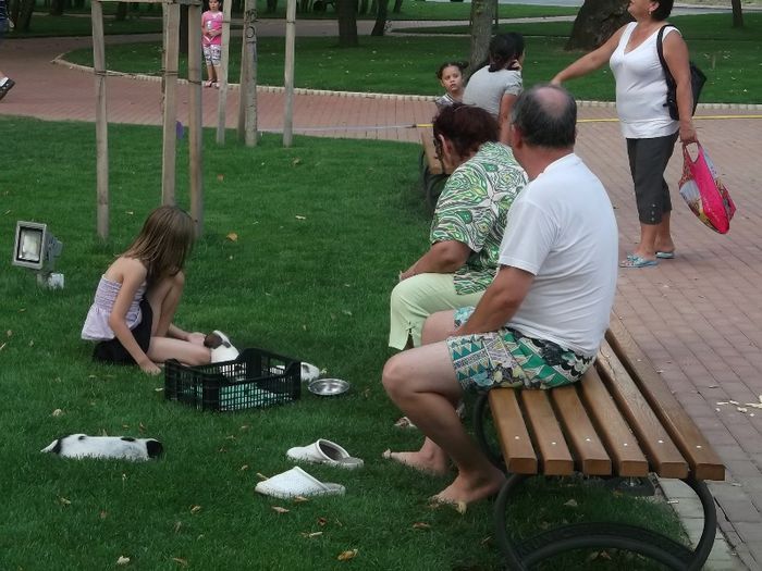 PRIMII AFACERISTI IN NOUL PARC