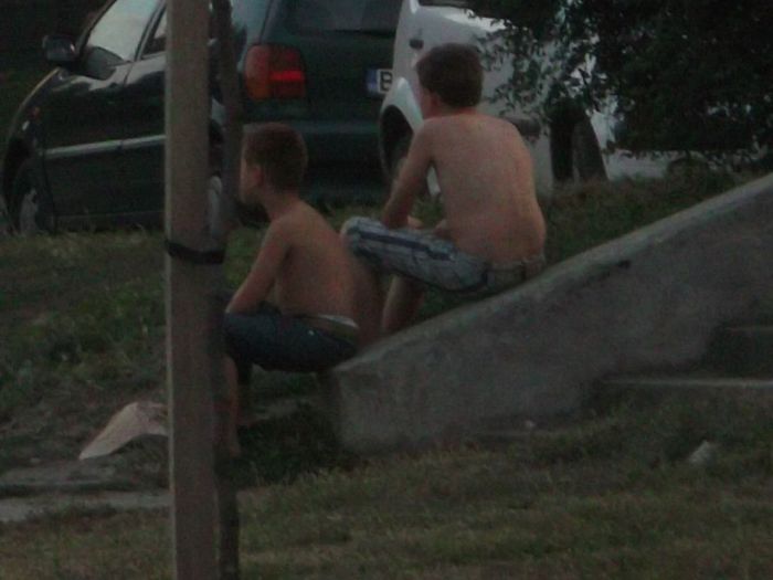 URMARIM EVOLUTIILE ALTORA