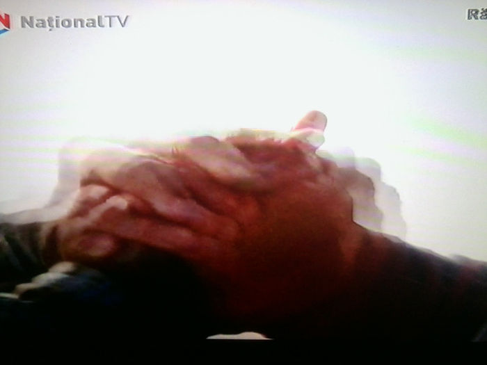 Fotografie4347 - RAZBOINICUL