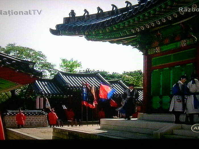 Fotografie4358 - RAZBOINICUL