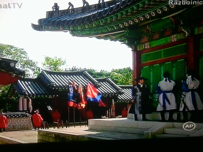 Fotografie4359 - RAZBOINICUL