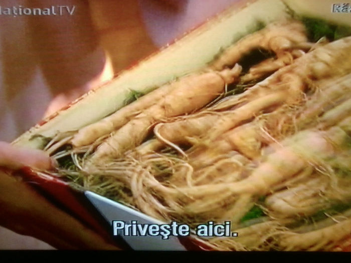 Fotografie4370 - RAZBOINICUL