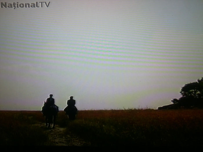 Fotografie4381 - RAZBOINICUL