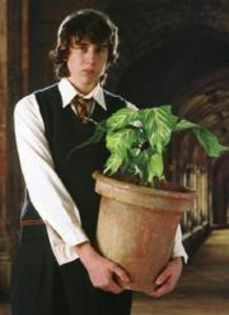 135 - Harry Potter si Pocalul de Foc 2005