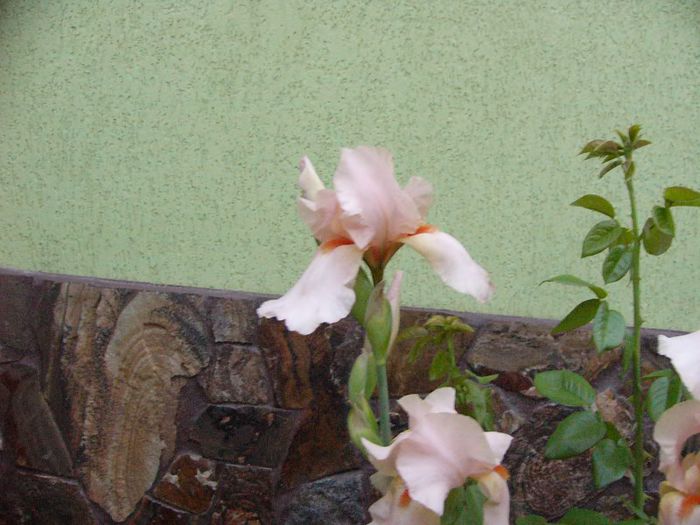 P1180751