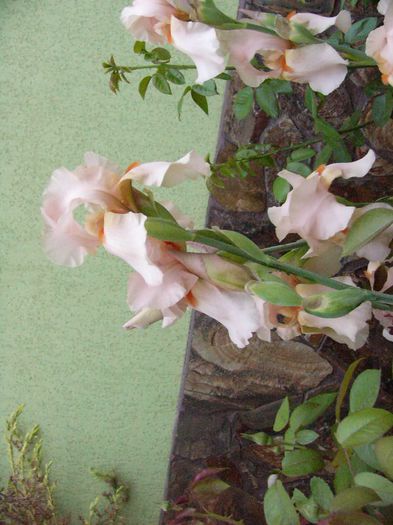 P1180755