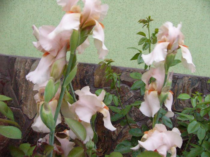 P1180757