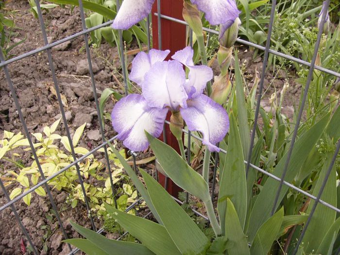 P1180761