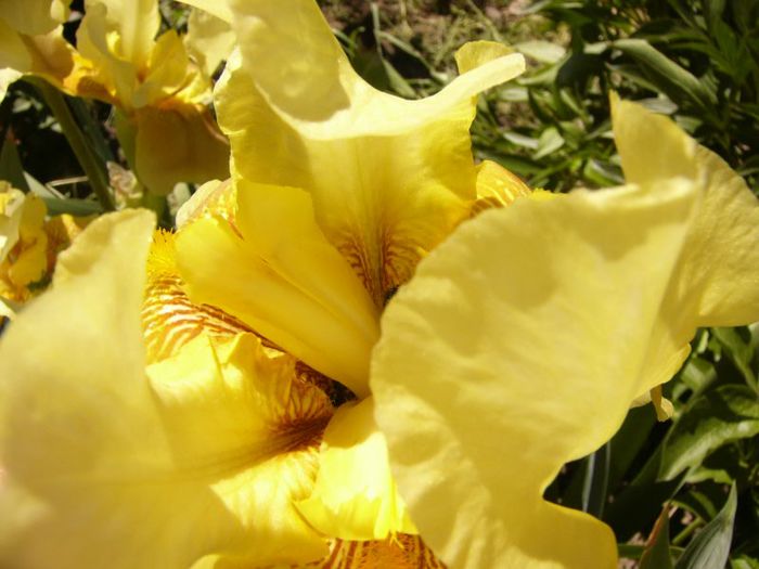 P1180830
