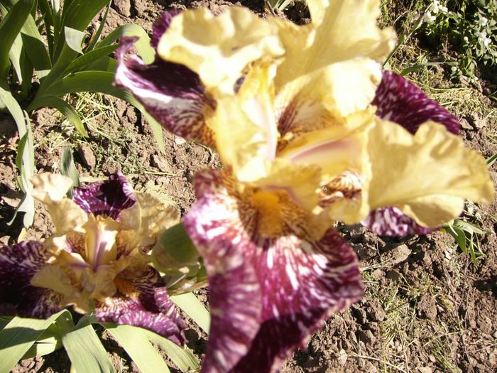 P1180835