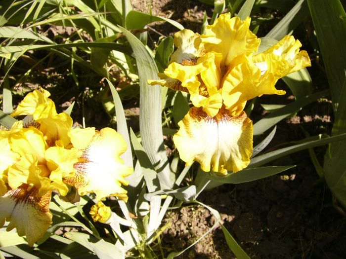 P1180840