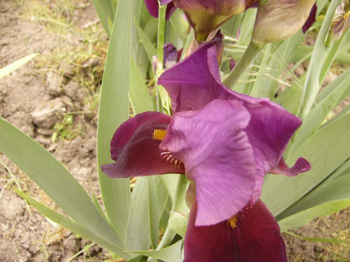 P1190005