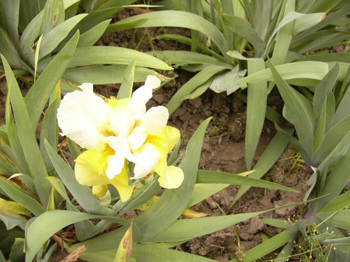 P1190025
