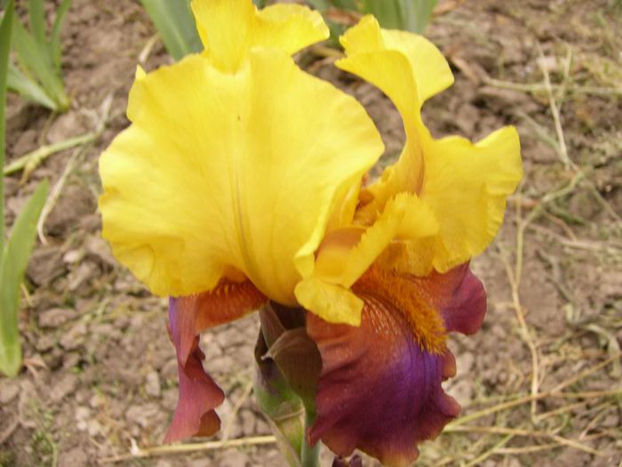 P1190033