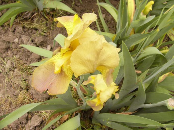 P1190083