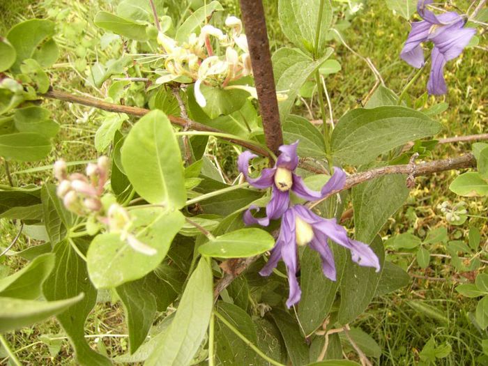 P1190102