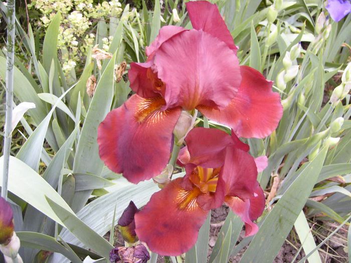 P1190158